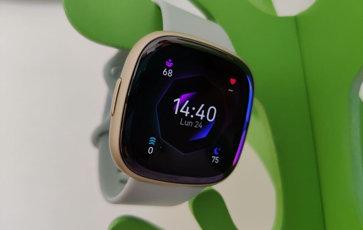 Orologio fitbit recensioni on sale