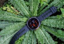 smartwatch garmin arriva la nuova modalità di ripristino