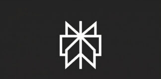 Perplexity AI: cos'è, come funziona e come usarlo gratis
